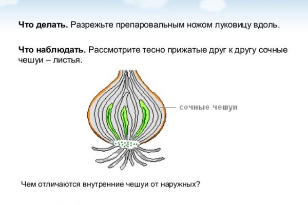 Кракен ссылка на тор