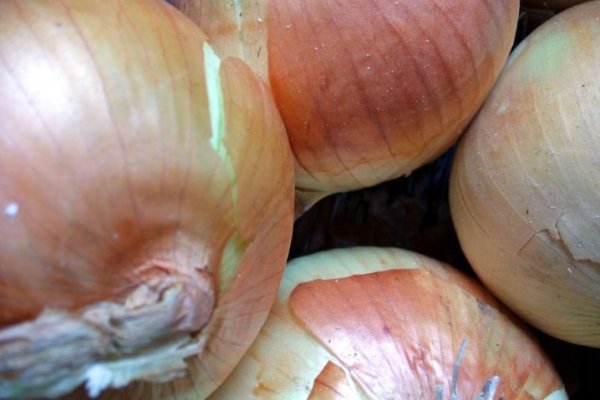 Kraken 16 onion